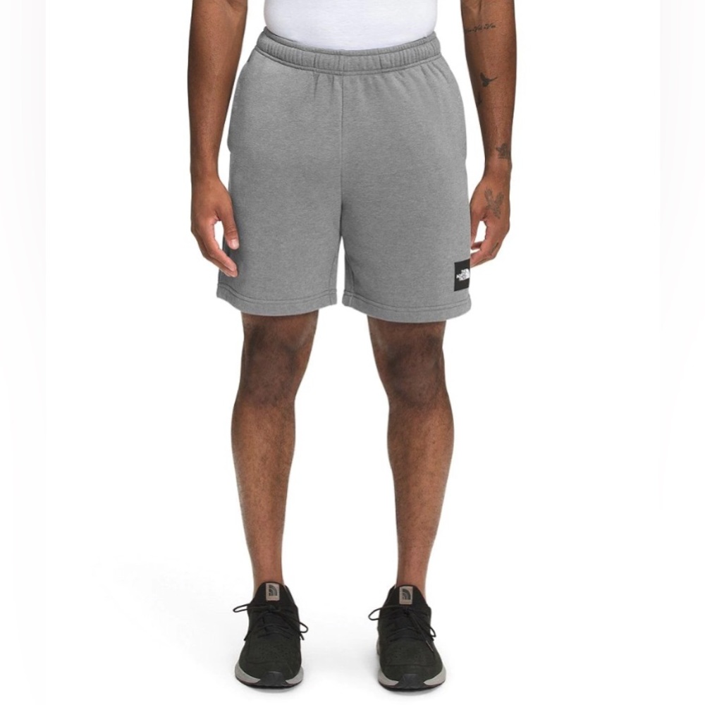 The north face men’s never stop shorts